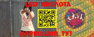 шишки Волжский