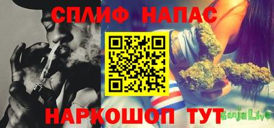 шишки Волжский