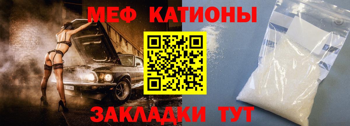 МЕФ Бийск