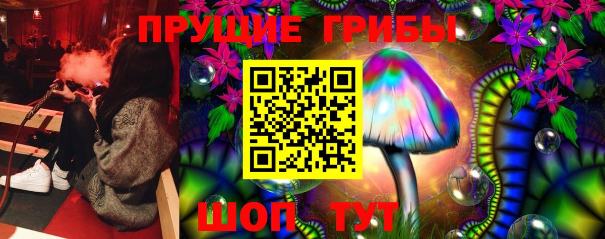 Псилоцибиновые грибы Psilocybine cubensis Бийск