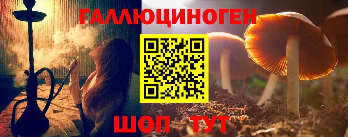 Псилоцибиновые грибы Psilocybe  Псилоцибиновые грибы мицелий  Вход с VPN  Бийск 
